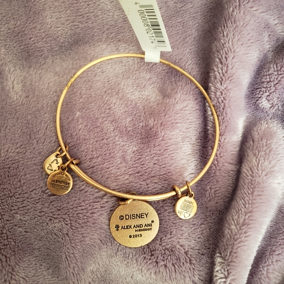 Alex and Ani Disneyland bracelet - Picture 2 of 3
